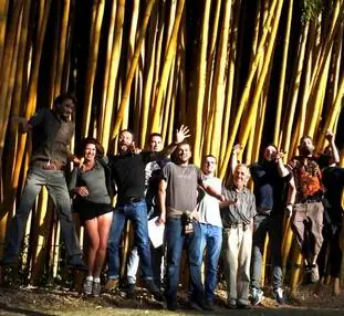 Groupe de bamboutiers devant des bambous